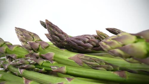 Spargel 03