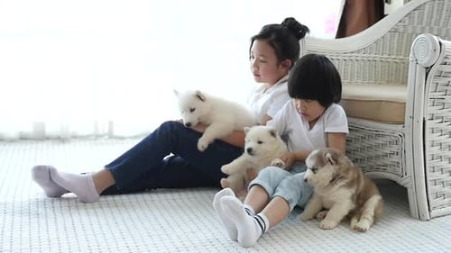 Children Playing with Cute Husky Puppies Indoors