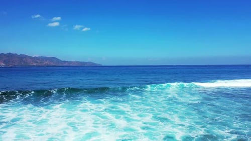 Aerial drone nature of marine sea view beach wildlife by blue ocean and white sand background of a d