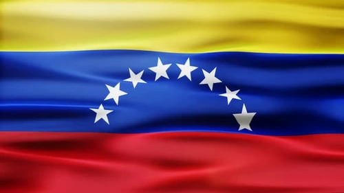 Waving Venezuelan Flag Realistic Loop Animation
