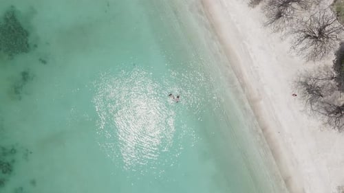 An Aerial View of a Happy Couple Swimming in the Transparent Turquoise Sea