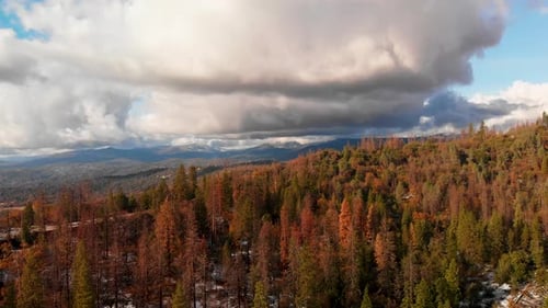Aerial view of mountains and forest after a winter storm