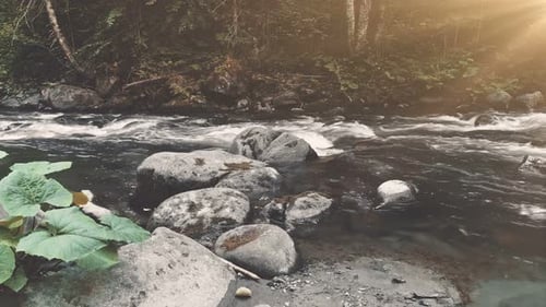 Mountain River in Autumn Forest