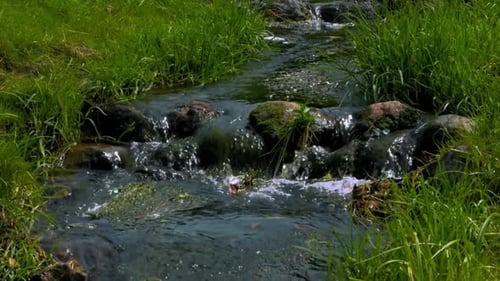 Tiny waterfall. Water going through stones in tiny river surrounded by green grass. Clear water. Eas