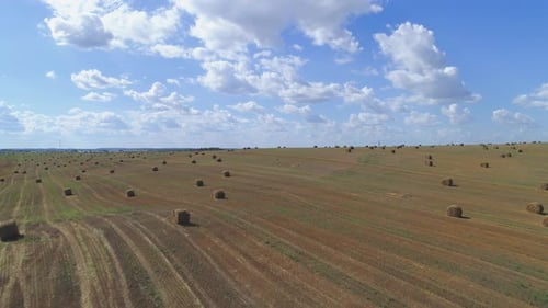 Flying Above Golden Field of Bales of Mowed Hay