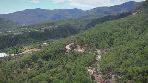 Winding narrow mountain road in green tree forest.