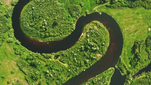 Aerial View Green Forest Woods And River Landscape In Sunny Spring Summer Day