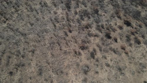 Destroyed Soil Aerial View