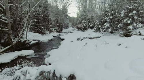 Flug über den Fluss im Winter