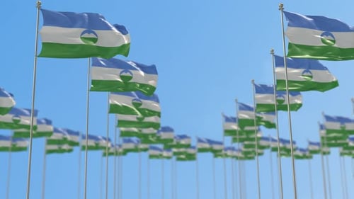 Waving Flags Field Animation Background
