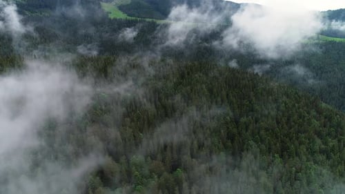 Flying Through the Clouds Above Mountain Tops. High Peaks with Forest, Wonderful Natural Landscape