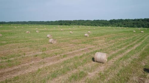 Aerial View of Hay Bales on the Green Field