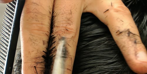 Close Up Hair Trim with Comb and Scissors