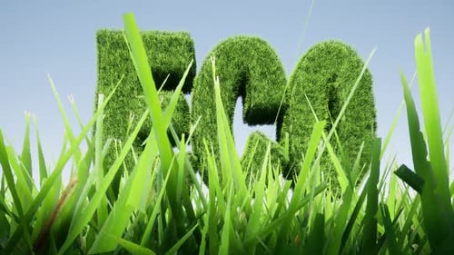 Text Green ECO Grass Field Beautiful Landscape Nature Concept