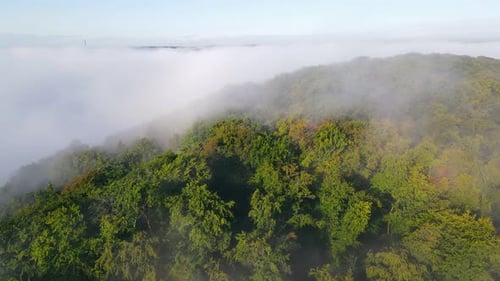 Morning Fabulous Fog That Covers the Mountains. Aerial Top View of Green Trees Covered with Thick