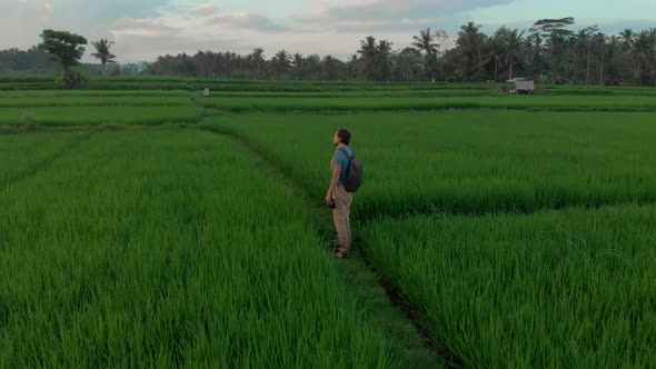 Aerial Shot of a Happy Family Tourists Meeting the Sunset on a ...