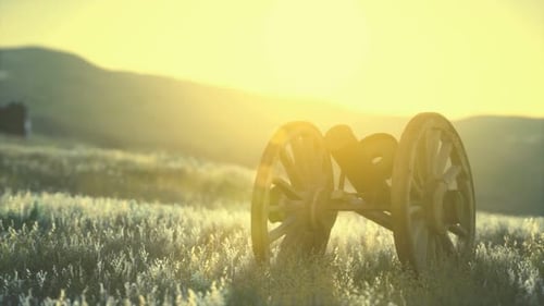 Historisches Kriegsgewehr auf dem Hügel bei Sonnenuntergang