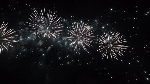 Exploding Fireworks Light Up the Night Sky