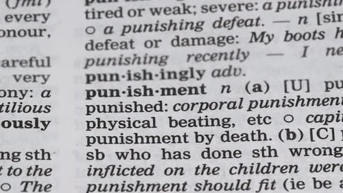 Punishment Word in English Dictionary, Responsibility for Illegal Activity, Fine