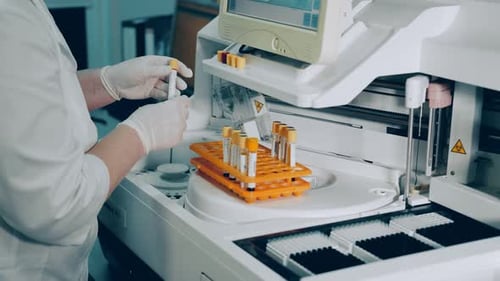 Medical Professional Analyzing Blood Sample Vials in Lab