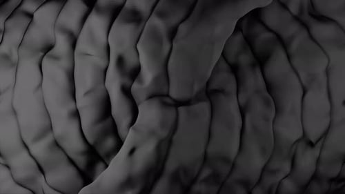 Dark Fluid Abstract Wavy Organic Background Loop