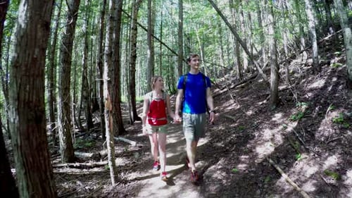 Paar spaziert im Wald 4k