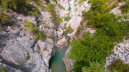 Flight Over a Mountain River and a Trail to a Gorge Among a Coniferous Forest