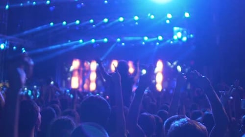 Energetic Concert Crowd Enjoying Live Music at Night