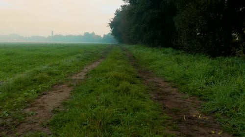 Drone shot flying forward along the surface of a grassy path near a foggy forest