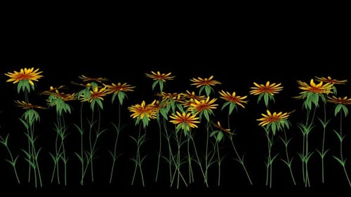 Blooming Flowers Organic Growth Animation