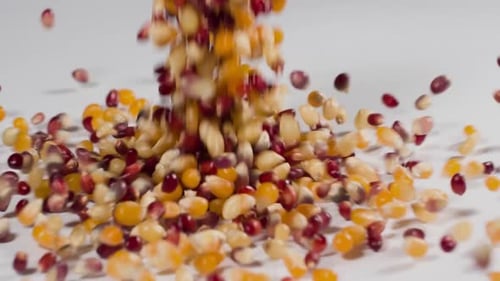Corn kernels falling onto a white surface in slow motion