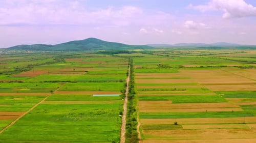 Aerial View on Agricultural Land