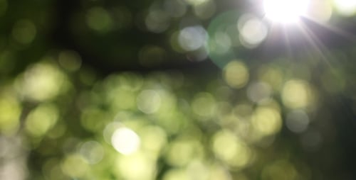 Natur Bokeh 01