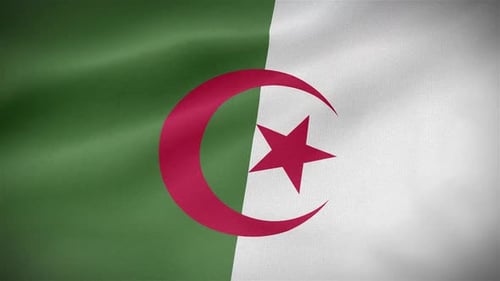 Realistic Waving Algerian Flag Loop Background