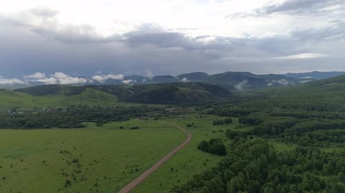 Fly to Forest Village