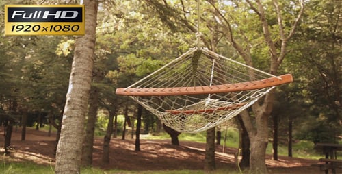 Hammock