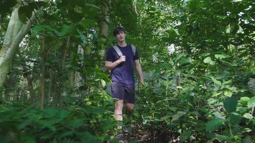 Man Hiker Hiking In Forest