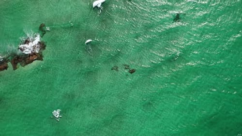 Abstract Wave Sea Beach on Top View