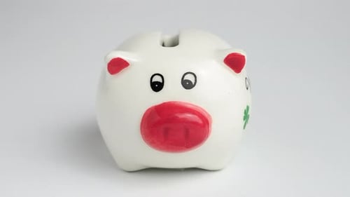 Money is put into the piggy bank. Piggy bank filled with dollar bills. Piggy bank with money.