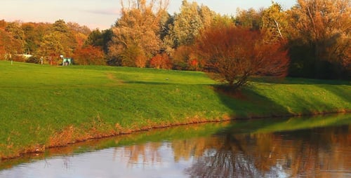 River and The Tree in Nature