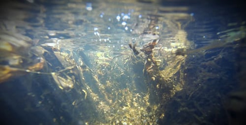 Creek Unterwasser