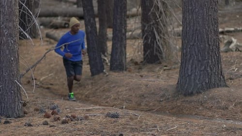 A young man trail running in a forest in the mountains.