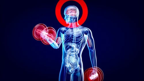 3D Human Body Anatomy with Glowing Muscles Exercising