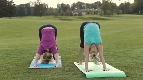 Women Exercising and Stretching Outdoors in Grassy Park