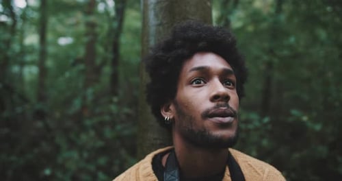 Der Mensch schaut sich im Wald um, während er sich an einen