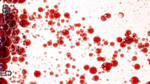 Abstract Red Spheres Floating in Liquid