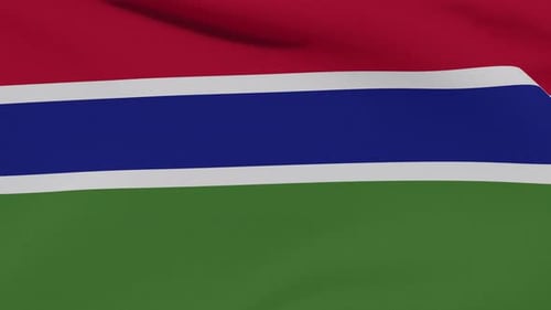 Realistic Waving Flag of The Gambia