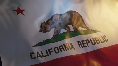 California State Flag