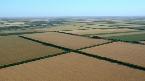 Agricultural Fields Aerial View