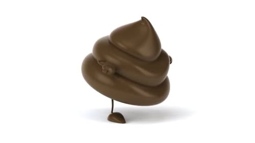 Fun poop